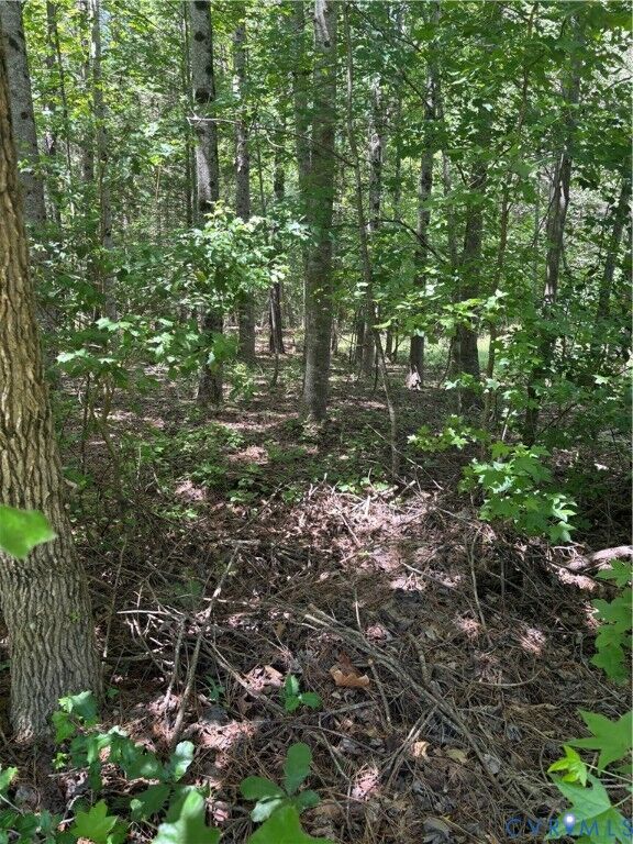Property Photo:  Tbd Tbd Monguy Road  VA 23030 