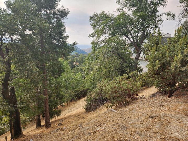 Property Photo: 0 Evergreen Lane CA 92352