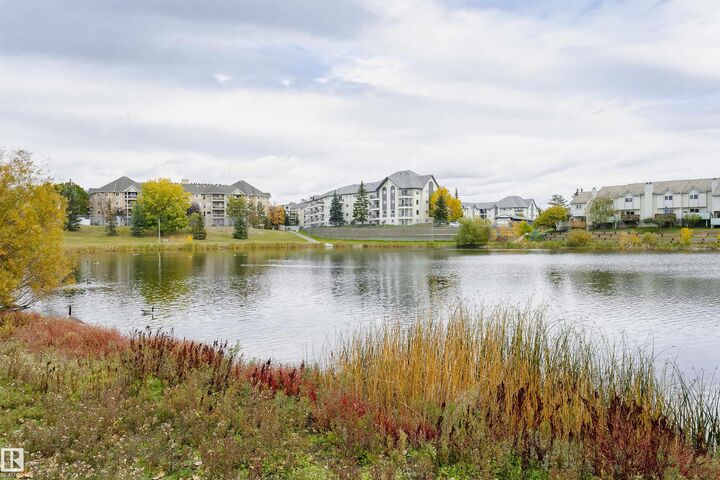 Property Photo:  9620 174 Street NW 403  AB T5T 6B9 