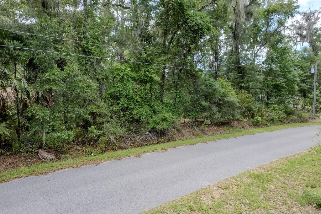 Property Photo: Lot 6 SW 186 Circle FL 34432
