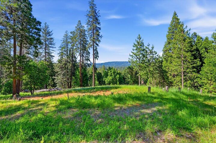 Property Photo: 11021 Pittsburg Mine Road CA 95959