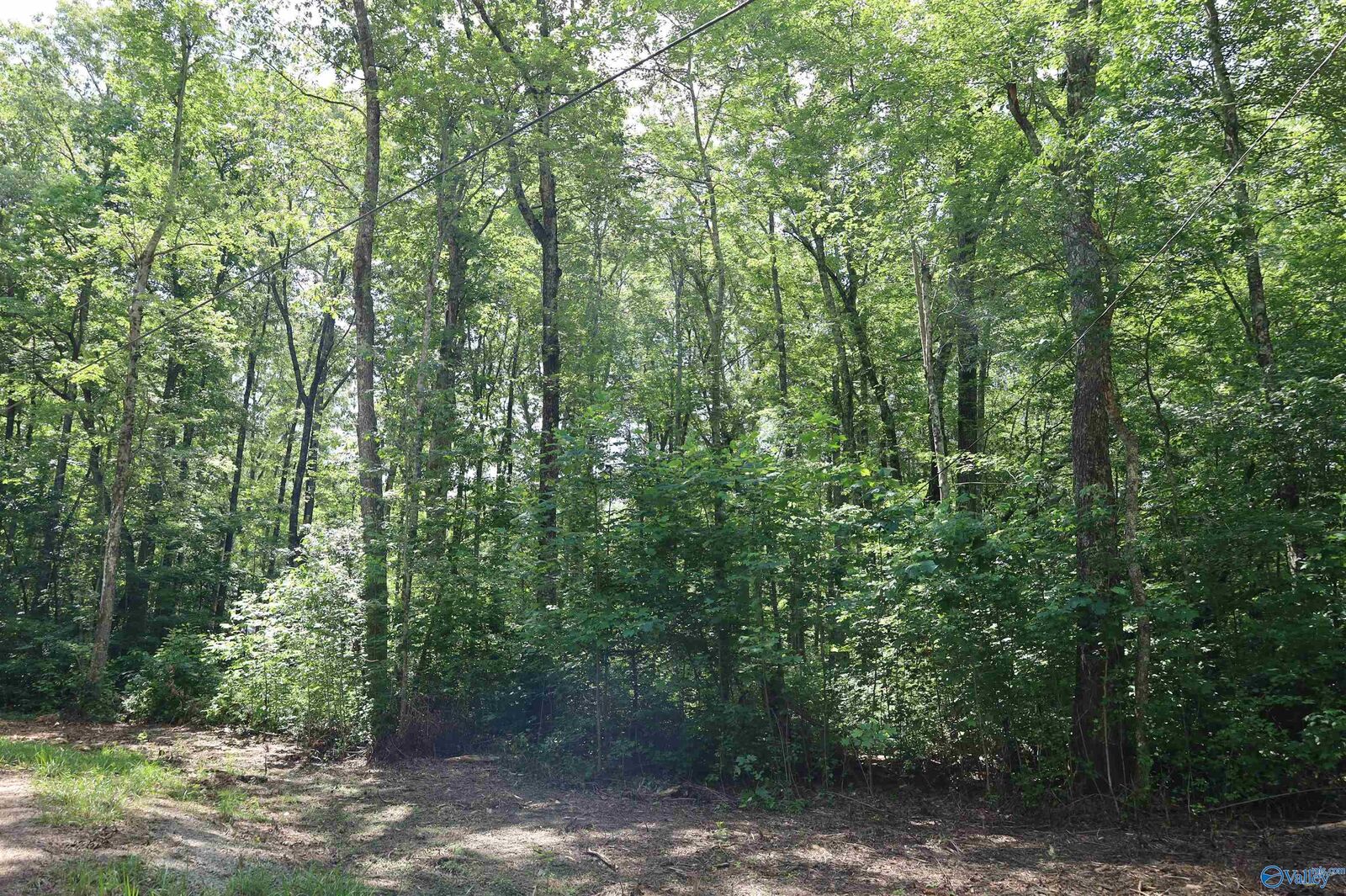Property Photo:  1.47 Acres Libby Lane  AL 35984 
