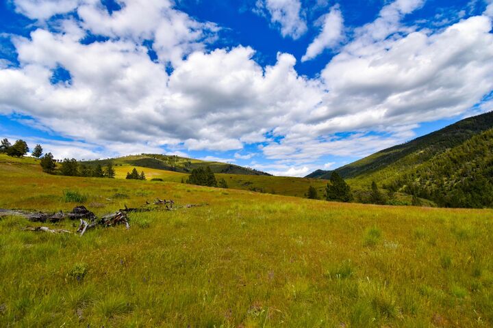 Property Photo:  Tract 2 Henry Creek Road  MT 59859 