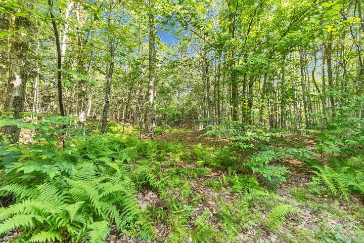 Property Photo:  101 Gilsum Road  NH 03445 