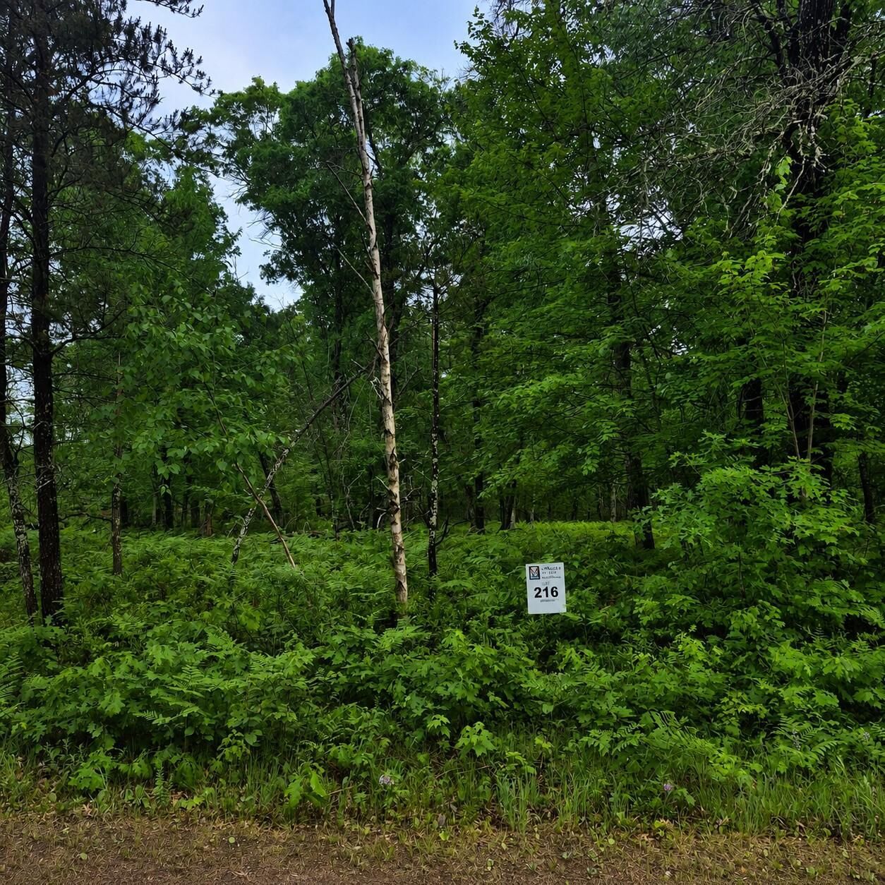 Property Photo:  Lot 216 Deerpath Road  WI 54830 
