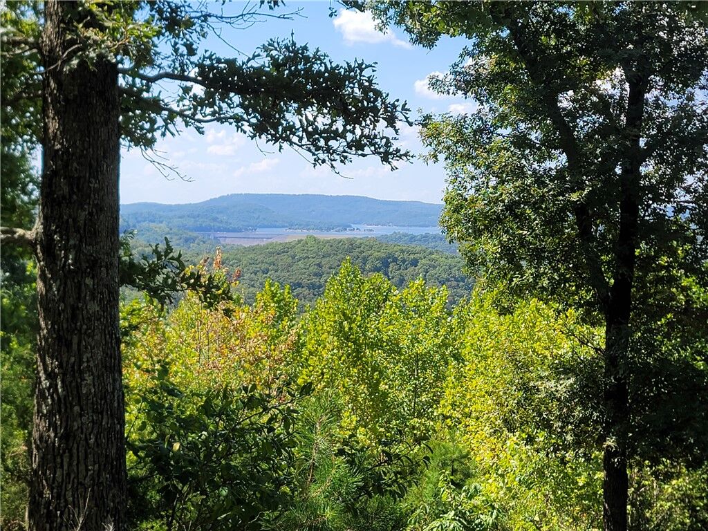 Property Photo:  200 Blue Moon Road  AR 72632 