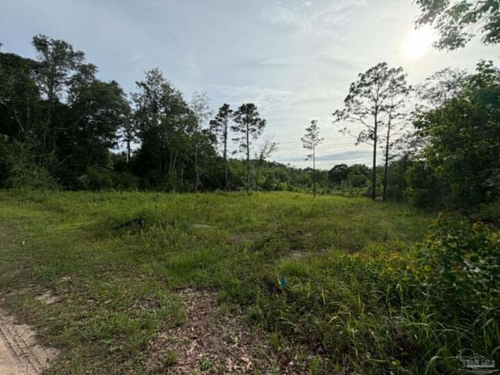 Property Photo: 999 New Haven Dr FL 32533