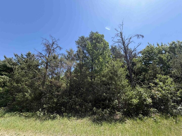 Property Photo:  5+ Acre 8th Avenue  WI 53965 