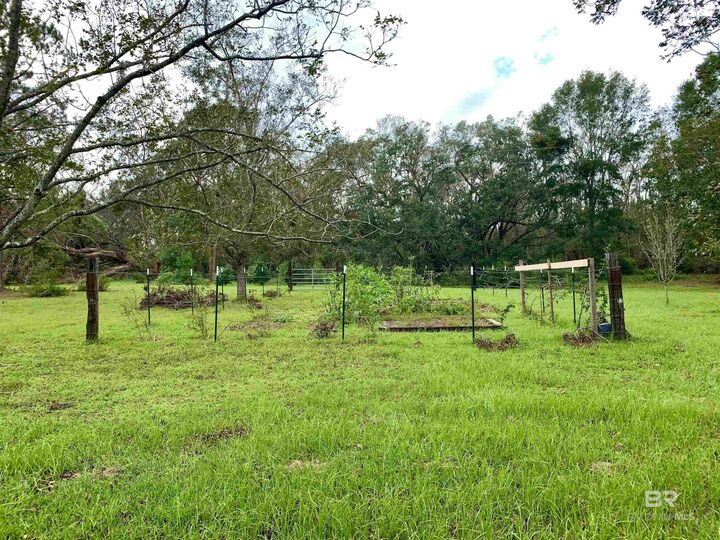 Property Photo:  8789 County Road 11  AL 36532 