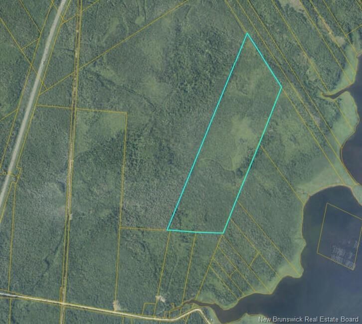 Property Photo:  96.58 Acres Off Ch. Bay  NB E1X 3A9 