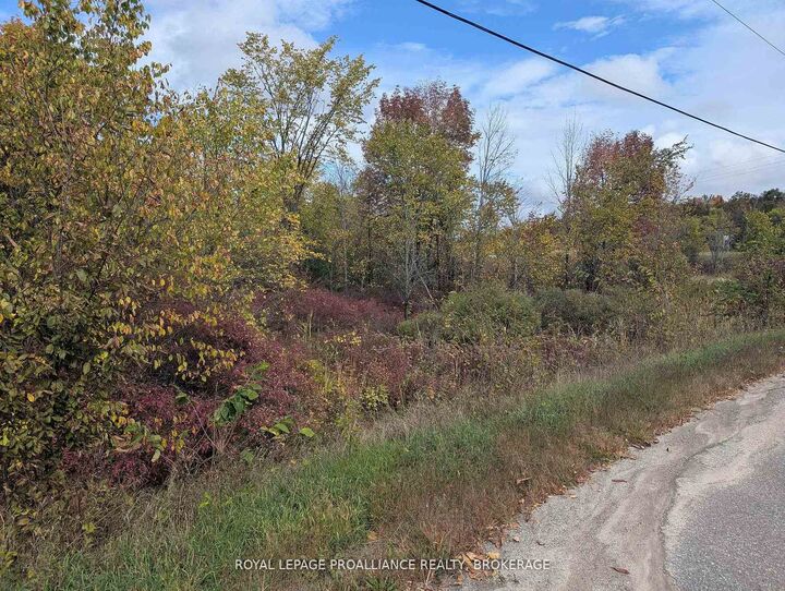 Property Photo: Lot 34 Leo Lake Road ON K0H 2N0