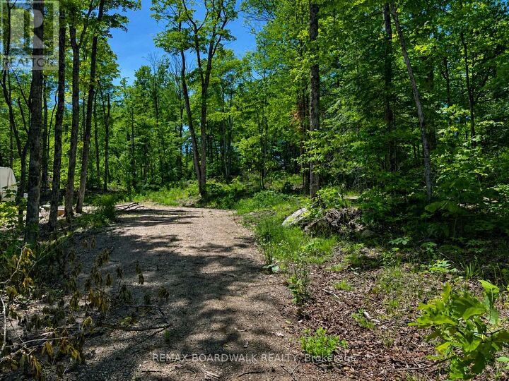 Property Photo:  0 Buckshot Lake Road  ON K0H 1K0 