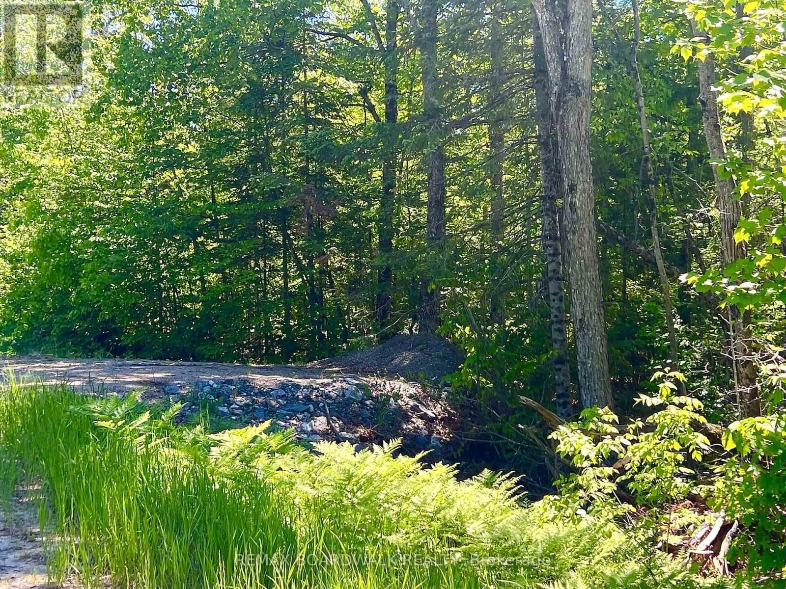 Property Photo:  00 Buckshot Lake Road  ON K0H 1K0 