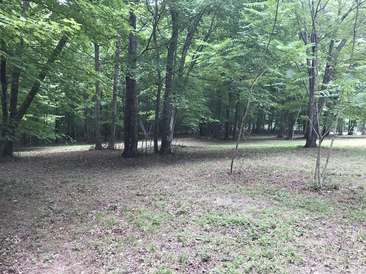 Property Photo: 503 Wilderness Way TN 37327