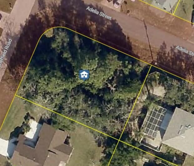 Property Photo: 11416 Adelia Street FL 34608