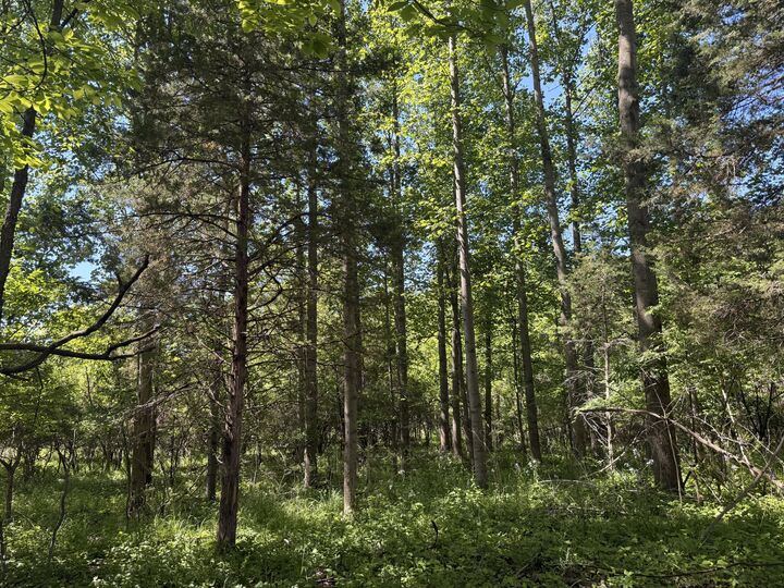 Property Photo: 0 Vreeland Road MI 48105
