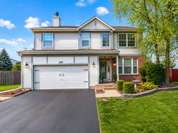 Property Photo: 210 Balmoral Court IL 60139