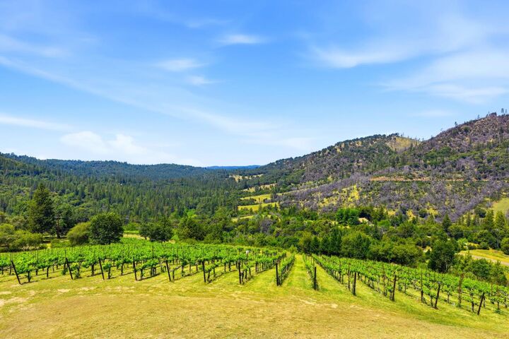 Property Photo:  7201 Happy Valley Road  CA 95684 
