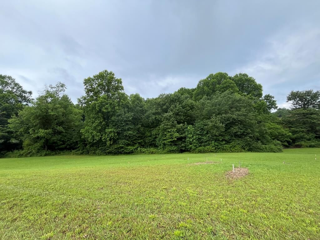 Property Photo:  Lot 117 Owen Glen Drive  GA 30512 