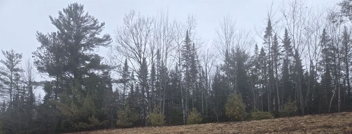 Property Photo: 00 Whitefield Road NH 03574