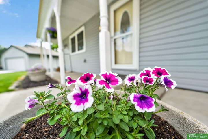 Property Photo:  807 Mohanna Place  NE 68005 
