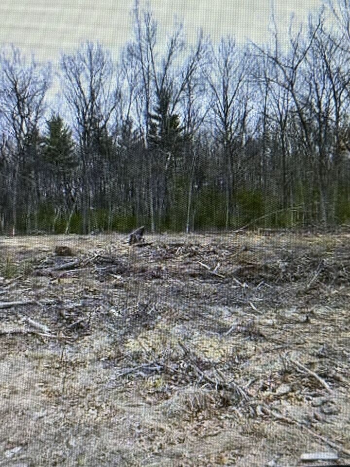 Property Photo: 25 Matthew Lane CT 06095