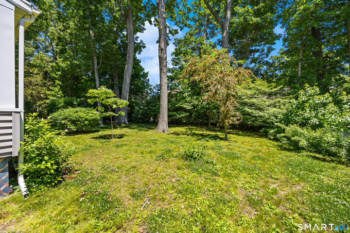 Property Photo: 39 Central Avenue CT 06516