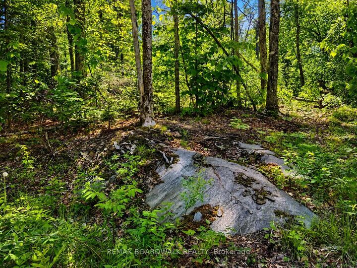 Property Photo:  0 Buckshot Lake Road  ON K0H 1K0 