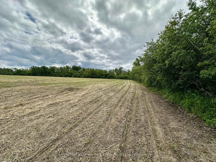 Property Photo: 430 Scugog 6 Line ON L9L 1B2