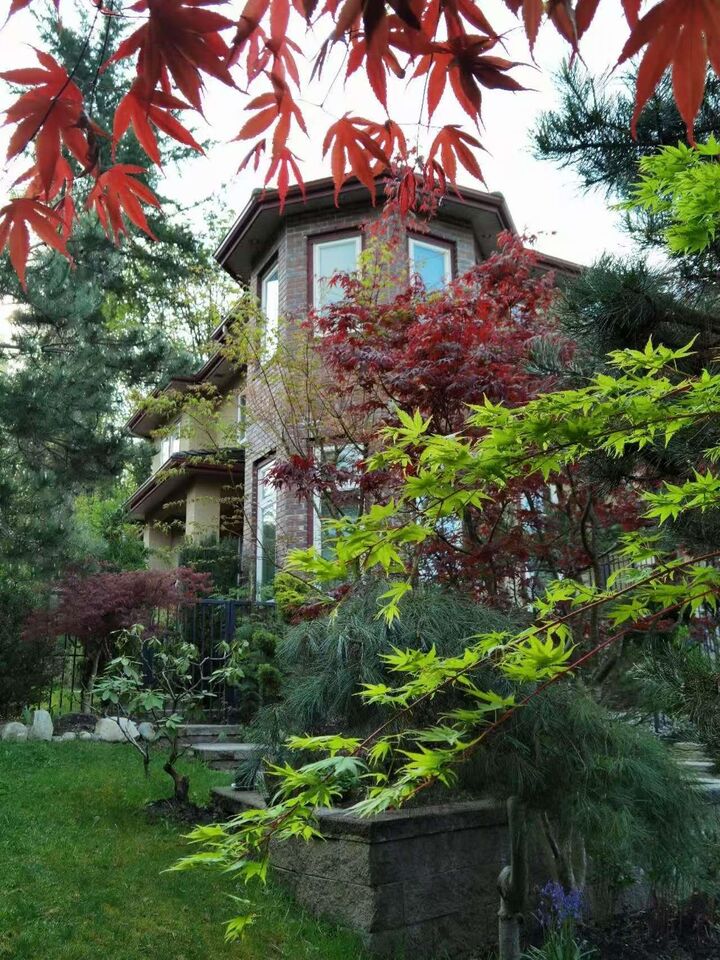 Property Photo: 2406 Norcrest Court BC V3J 1C6