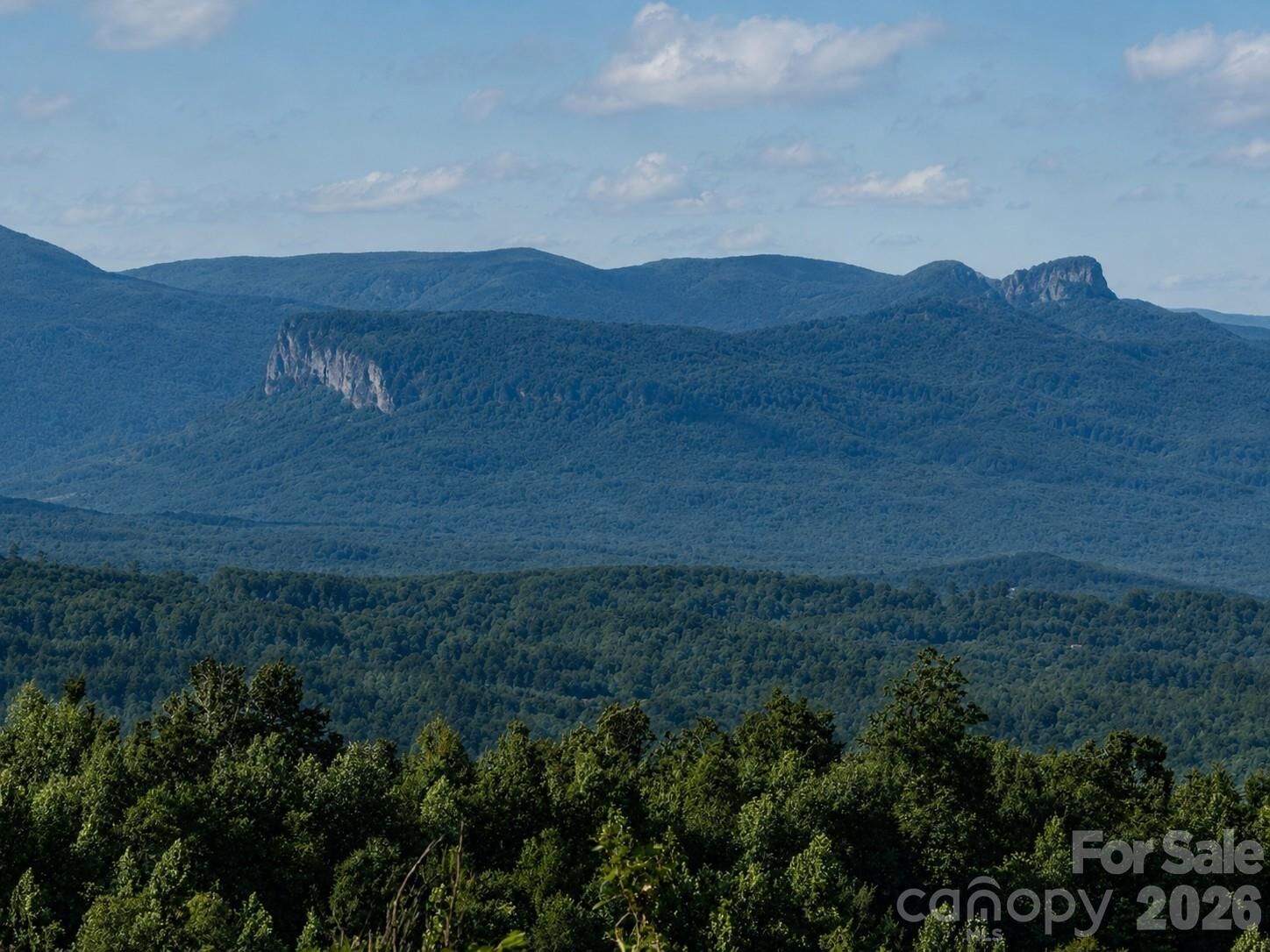 Property Photo:  253 Falls Creek Drive  NC 28761 