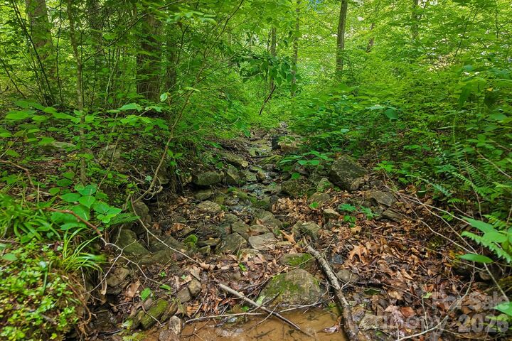 Property Photo:  00 Sequoyah Drive  NC 29786 
