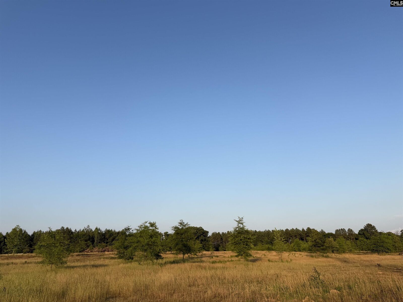 Property Photo:  000 Livingston  SC 29126 