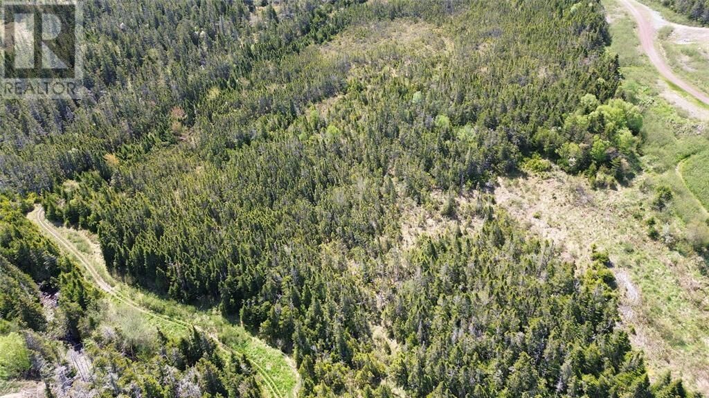 Property Photo:  237B Creston Boulevard  NL A0E 2M0 
