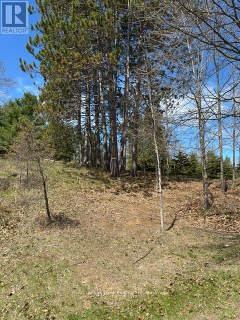 Property Photo:  26686 Highway 62 South  ON K0L 1C0 