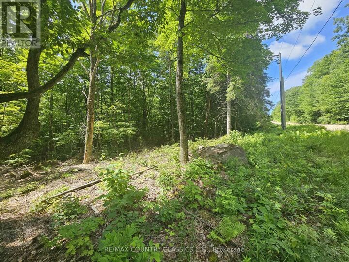 Pt Lt 22 O'Grady Settlement Road — photo 1