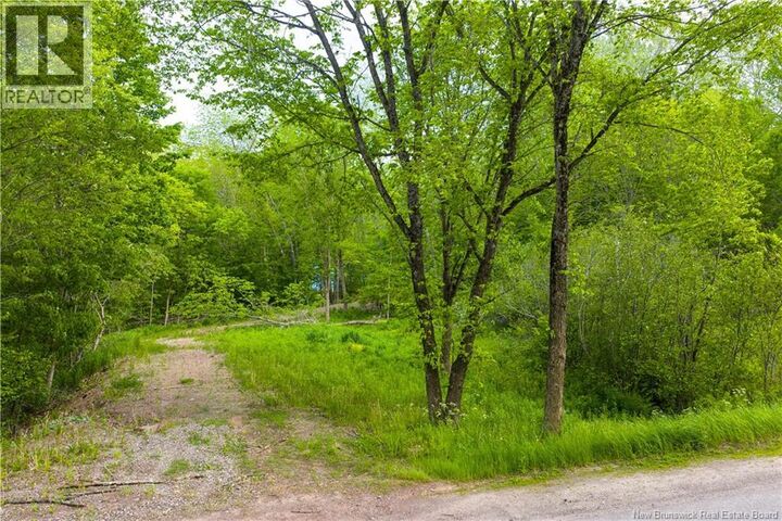 Property Photo:  Lot Main Street  NB E5N 7G9 