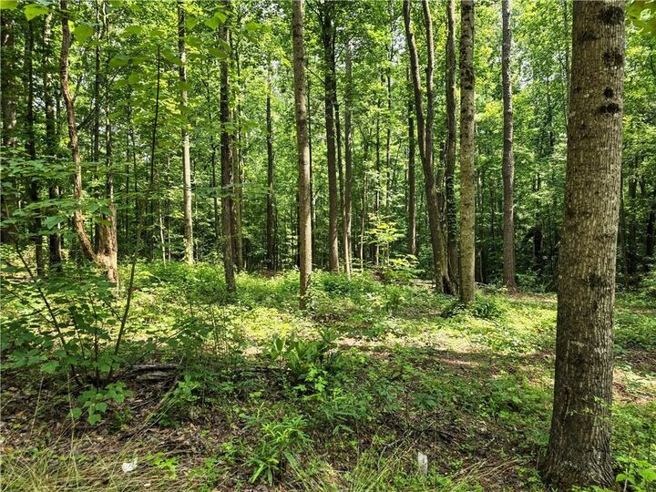 Property Photo:  5 Lots Rome St. &Amp Driver St.  GA 30179 