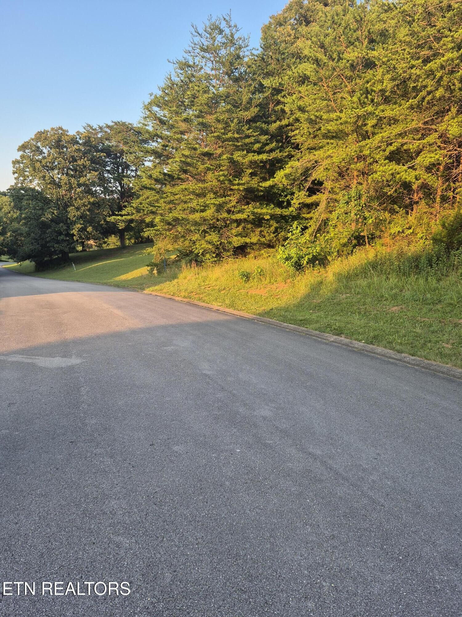 Property Photo:  165 Glen Mar Drive  TN 37772 