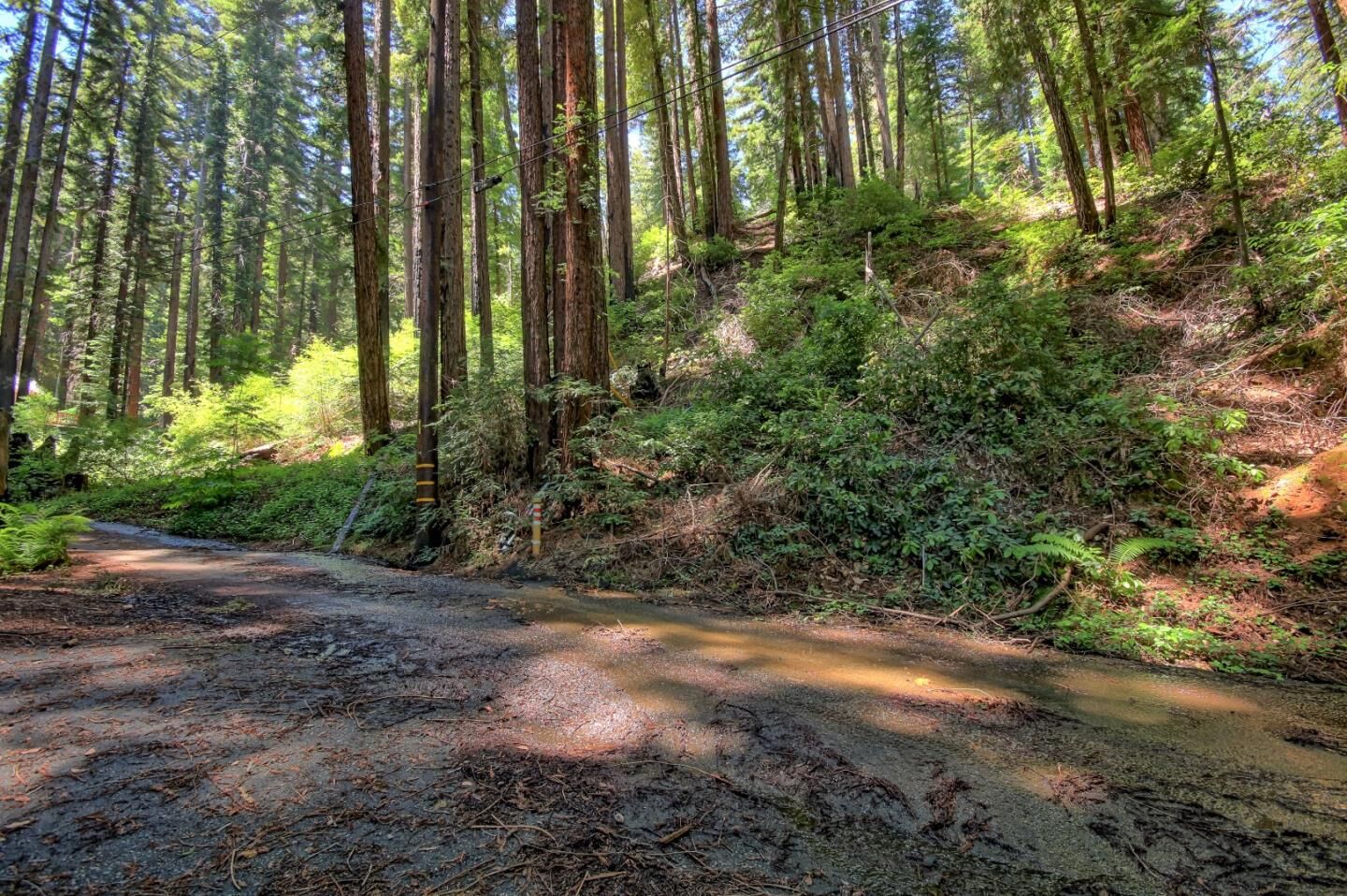 Property Photo: 154 Leafwood Drive CA 95006