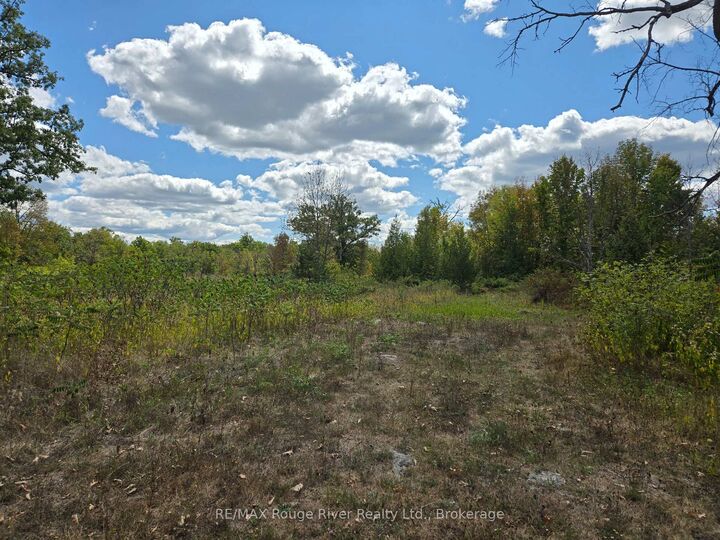 103080 Highway 7 Highway E — photo 1