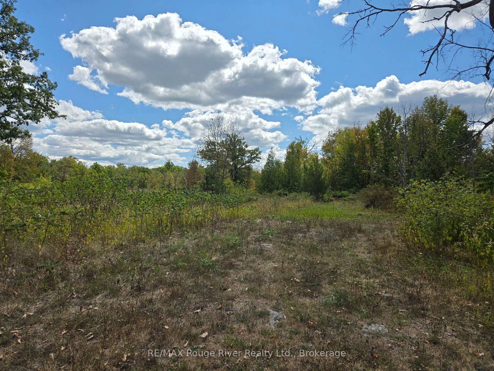 Property Photo:  103080 Highway 7 Highway E  ON K0K 2M0 