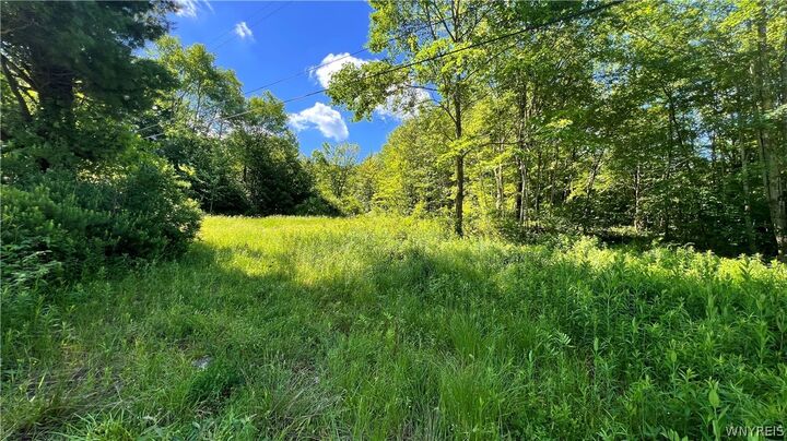 Property Photo:  Cherry Valley Road  NY 14706 