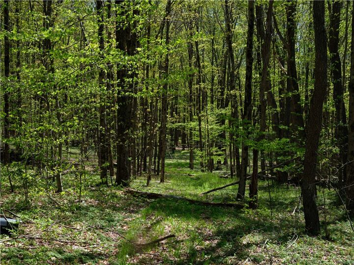 Property Photo: Sanly Road NY 13839