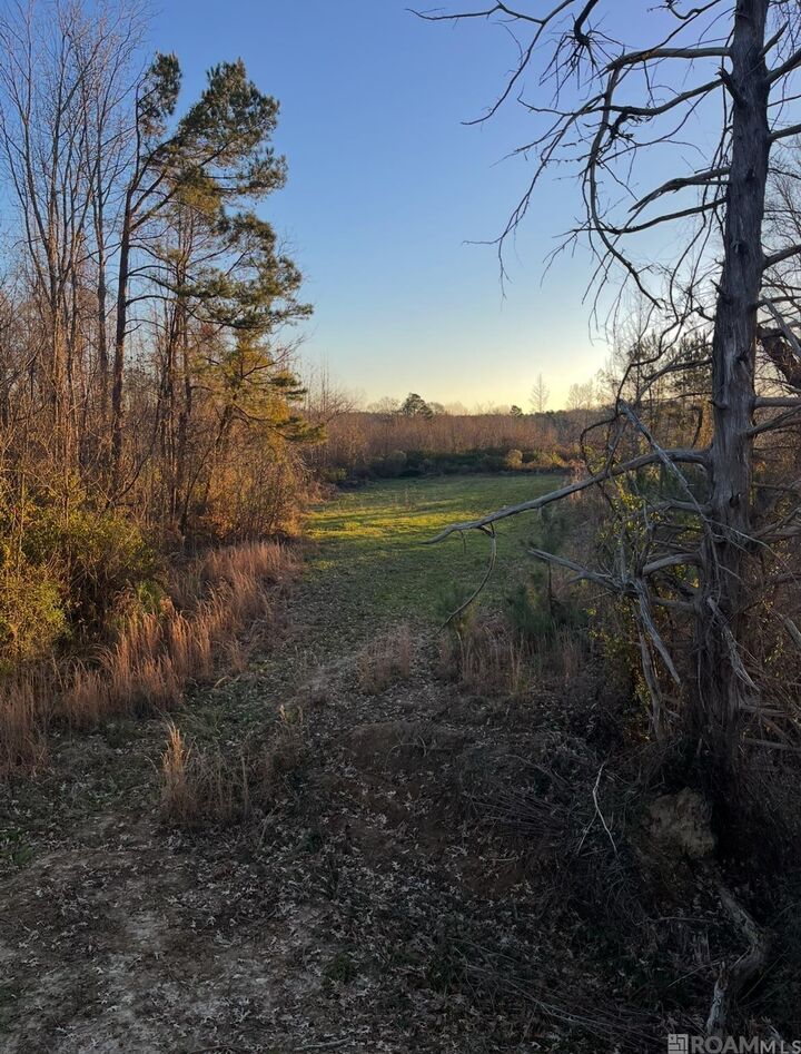 Property Photo:  11255 Old Port Gibson Road  MS 39086 