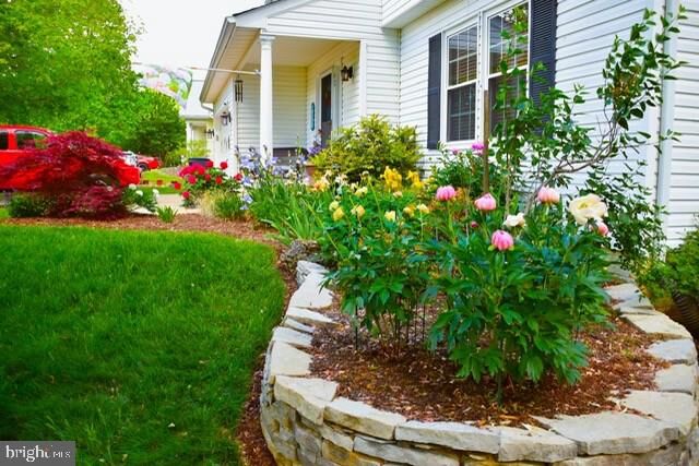 Property Photo:  42 Clarion Drive  VA 22405 