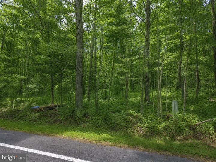 Property Photo: 0 Constitution Hwy VA 22508