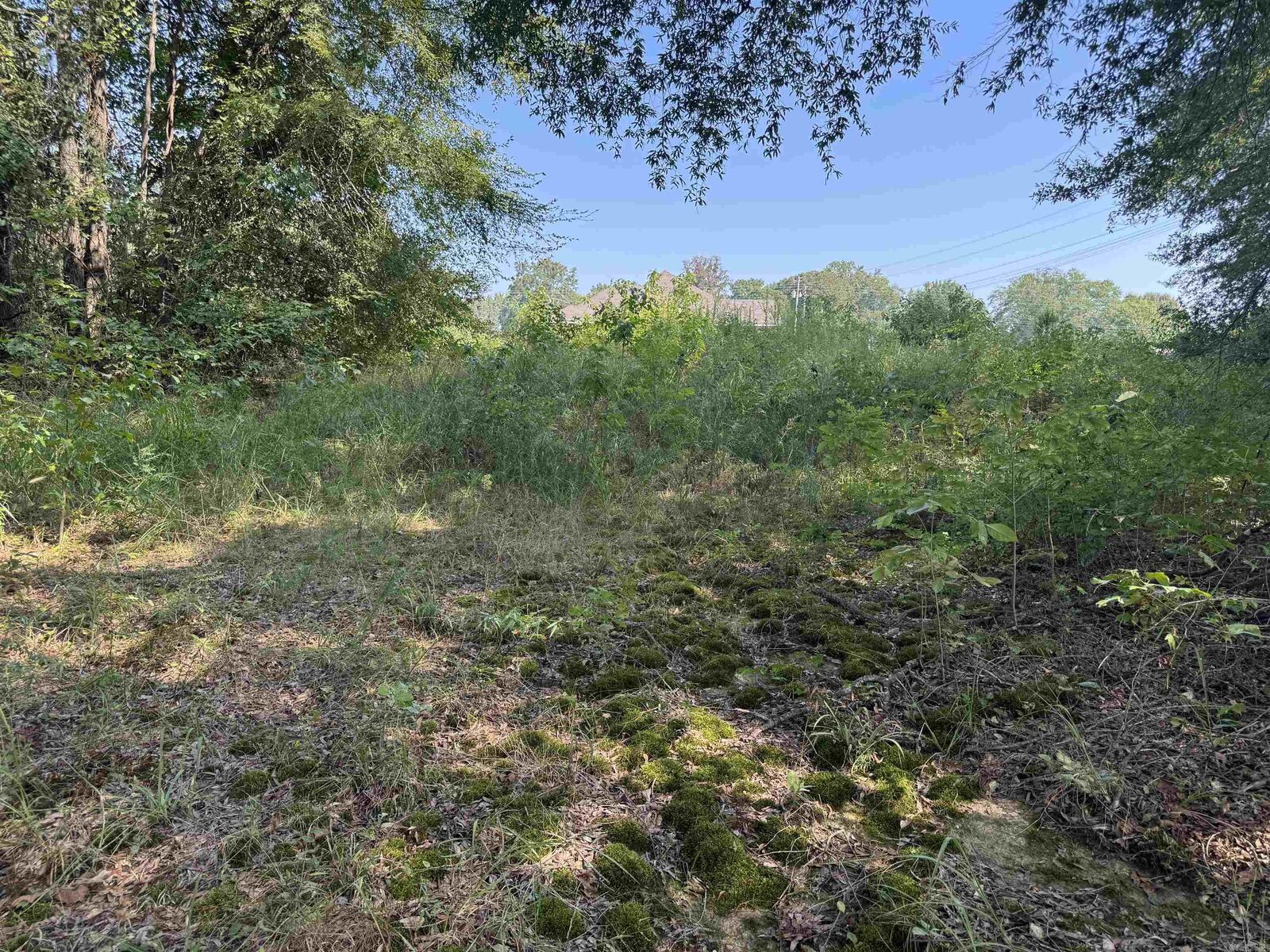 Property Photo:  00 Calvary Circle  AR 72086 