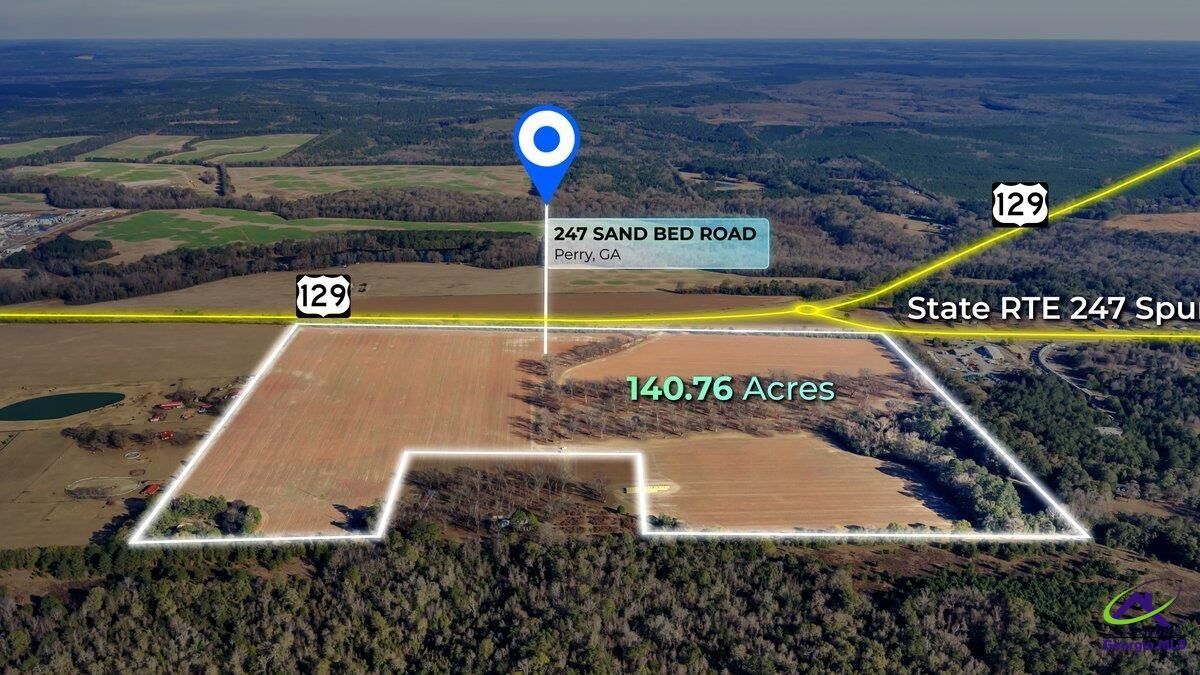 Property Photo: Sandbed Road/Hwy 247 Road GA 31047