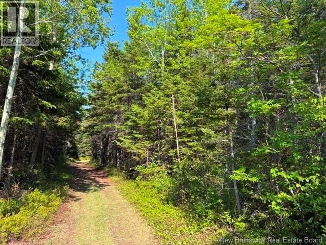 Property Photo:  305 Haut-Lameque  NB E8T 3M9 